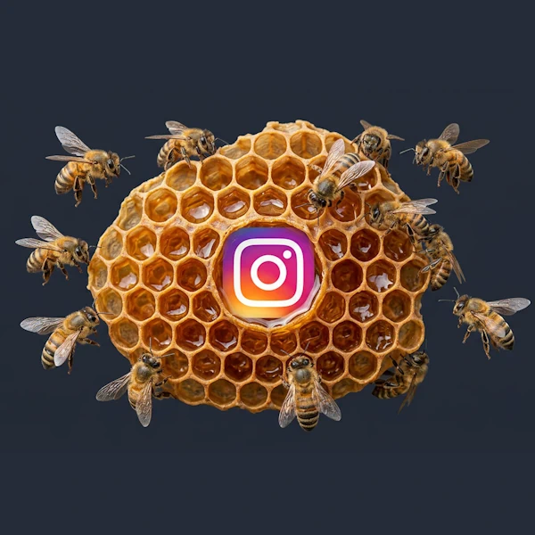 Dashboard Instagram da Post Bee